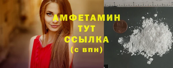 ECSTASY Алзамай
