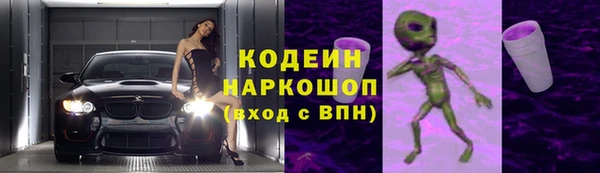 мет Алексин