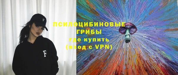 ECSTASY Алзамай